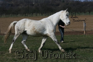 staj_ufonek2387.jpg